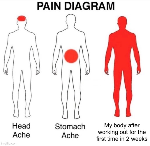 And thats why u should workout continuously | My body after working out for the first time in 2 weeks | image tagged in pain diagram | made w/ Imgflip meme maker