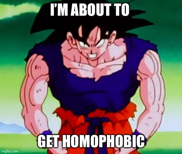 I'm about to get racist Goku | I’M ABOUT TO GET HOMOPHOBIC | image tagged in i'm about to get racist goku | made w/ Imgflip meme maker