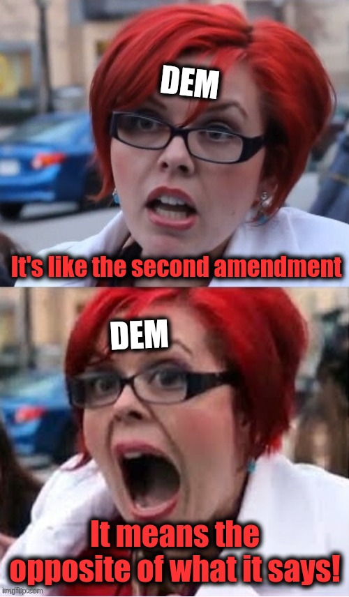 Big Red Feminist #2 | It's like the second amendment It means the opposite of what it says! DEM DEM | image tagged in big red feminist 2 | made w/ Imgflip meme maker