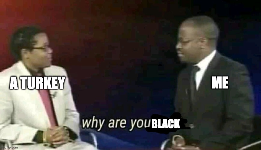 A TURKEY ME BLACK | image tagged in why are you gay | made w/ Imgflip meme maker