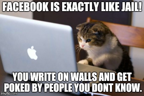 Cat using computer | FACEBOOK IS EXACTLY LIKE JAIL! YOU WRITE ON WALLS AND GET POKED BY PEOPLE YOU DONT KNOW. | image tagged in cat using computer | made w/ Imgflip meme maker