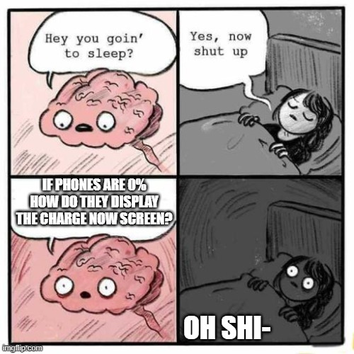 Hey you going to sleep? | IF PHONES ARE 0% HOW DO THEY DISPLAY THE CHARGE NOW SCREEN? OH SHI- | image tagged in hey you going to sleep | made w/ Imgflip meme maker