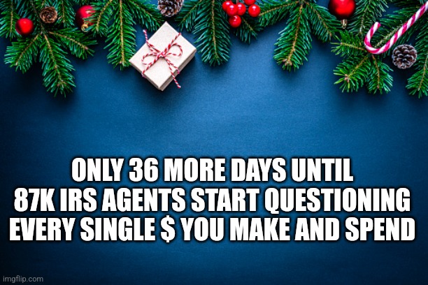 ONLY 36 MORE DAYS UNTIL 87K IRS AGENTS START QUESTIONING EVERY SINGLE $ YOU MAKE AND SPEND | image tagged in funny memes | made w/ Imgflip meme maker