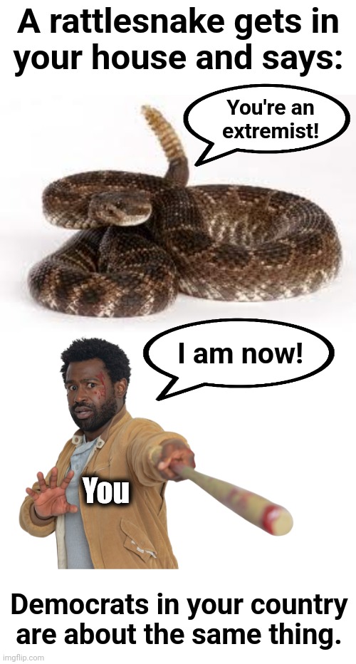 A rattlesnake gets in
your house and says:; You're an
extremist! I am now! You; Democrats in your country are about the same thing. | image tagged in scumbag rattlesnake,memes,rattlesnake,democrats,extremist | made w/ Imgflip meme maker