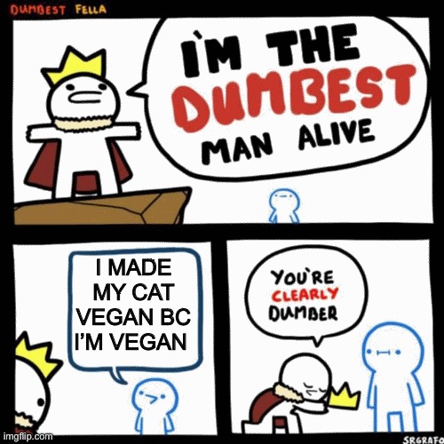 I'm the dumbest man alive | I MADE MY CAT VEGAN BC I’M VEGAN | image tagged in i'm the dumbest man alive | made w/ Imgflip meme maker