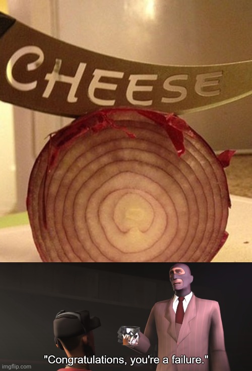 Lol, cheese | image tagged in congratulations you're a failure,onion,you had one job,memes,fail,cheese | made w/ Imgflip meme maker