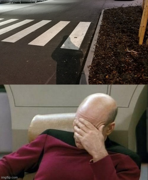 may have to jump into the bushes | image tagged in memes,captain picard facepalm | made w/ Imgflip meme maker