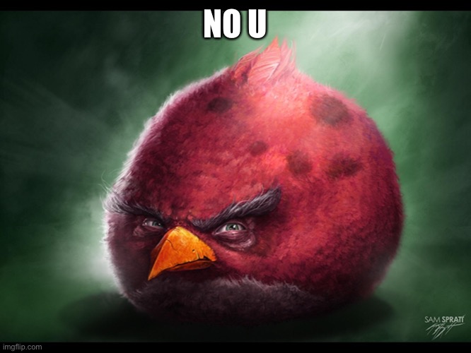 Realistic Angry Bird (big red) | NO U | image tagged in realistic angry bird big red | made w/ Imgflip meme maker