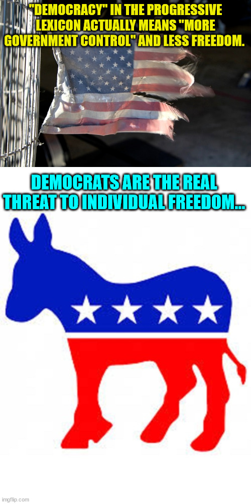 The real threat to your freedom... | "DEMOCRACY" IN THE PROGRESSIVE LEXICON ACTUALLY MEANS "MORE GOVERNMENT CONTROL" AND LESS FREEDOM. ; DEMOCRATS ARE THE REAL THREAT TO INDIVIDUAL FREEDOM... | image tagged in democrat donkey | made w/ Imgflip meme maker