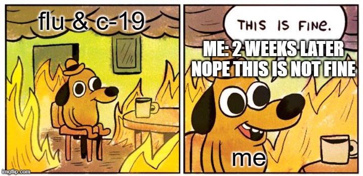 c-19 | flu & c-19; ME: 2 WEEKS LATER NOPE THIS IS NOT FINE; me | image tagged in memes,this is fine | made w/ Imgflip meme maker