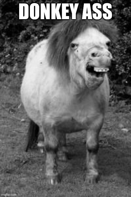 ugly horse | DONKEY ASS | image tagged in ugly horse | made w/ Imgflip meme maker