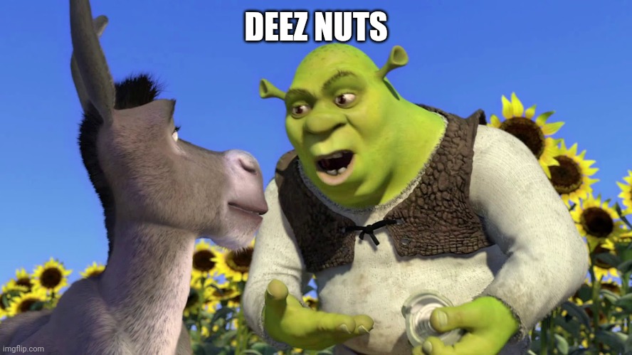 Ogres have layers | DEEZ NUTS | image tagged in ogres have layers | made w/ Imgflip meme maker