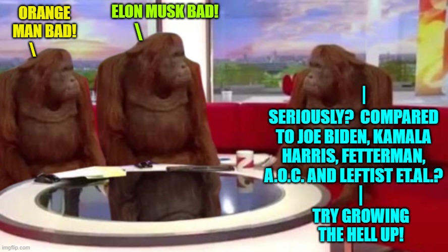 Yeah . . . seriously. | ELON MUSK BAD! ORANGE MAN BAD! \; \; |; SERIOUSLY?  COMPARED TO JOE BIDEN, KAMALA HARRIS, FETTERMAN, A.O.C. AND LEFTIST ET.AL.? |; TRY GROWING THE HELL UP! | image tagged in orangutan interview | made w/ Imgflip meme maker