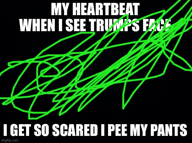 My heart beat when I see trumps face | MY HEARTBEAT WHEN I SEE TRUMPS FACE; I GET SO SCARED I PEE MY PANTS | image tagged in memes | made w/ Imgflip meme maker