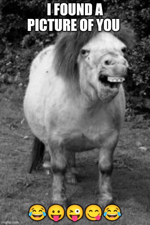 ugly horse | I FOUND A PICTURE OF YOU ????? | image tagged in ugly horse | made w/ Imgflip meme maker