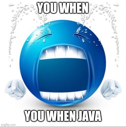 Crying Blue guy | YOU WHEN YOU WHEN JAVA | image tagged in crying blue guy | made w/ Imgflip meme maker