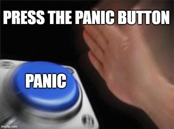 Blank Nut Button Meme | PRESS THE PANIC BUTTON PANIC | image tagged in memes,blank nut button | made w/ Imgflip meme maker