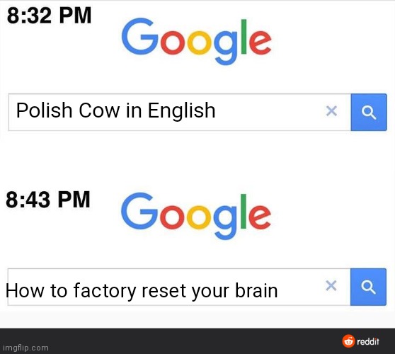 Maybe it's best to remain curious sometimes | Polish Cow in English; How to factory reset your brain | image tagged in 8 32 google search | made w/ Imgflip meme maker
