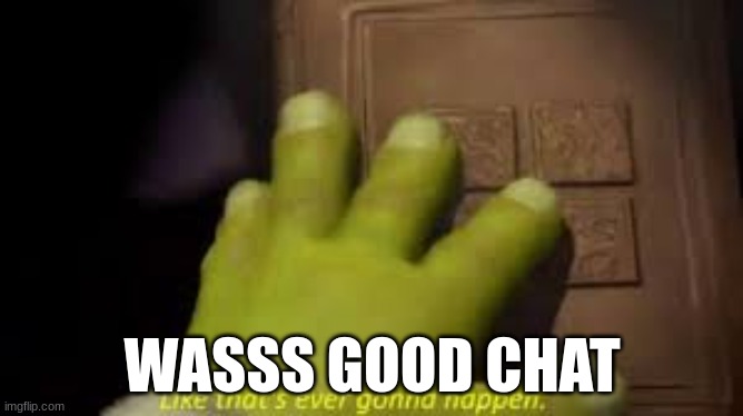 Shrek book closing mene | WASSS GOOD CHAT | image tagged in shrek book closing mene | made w/ Imgflip meme maker