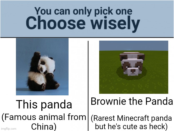 1 upvote is cute as heck for the pandas | Brownie the Panda; This panda; (Rarest Minecraft panda
but he's cute as heck); (Famous animal from
China) | image tagged in choose wisely,memes,minecraft,funny,panda,minecraft memes | made w/ Imgflip meme maker