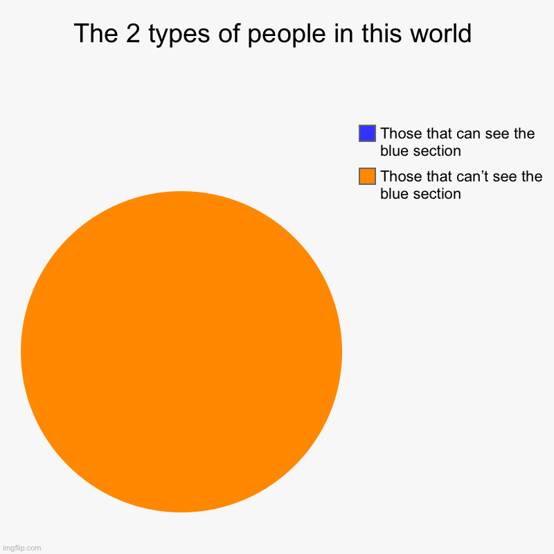 Everyone is in the orange section | The 2 types of people in this world | Those that can’t see the blue section, Those that can see the blue section | image tagged in charts,pie charts | made w/ Imgflip chart maker
