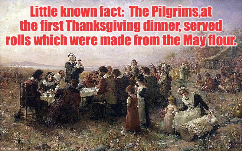 Pilgrims | Little known fact:  The Pilgrims,at the first Thanksgiving dinner, served rolls which were made from the May flour. | made w/ Imgflip meme maker