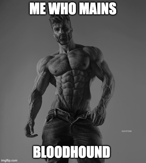 giga chad | ME WHO MAINS BLOODHOUND | image tagged in giga chad | made w/ Imgflip meme maker