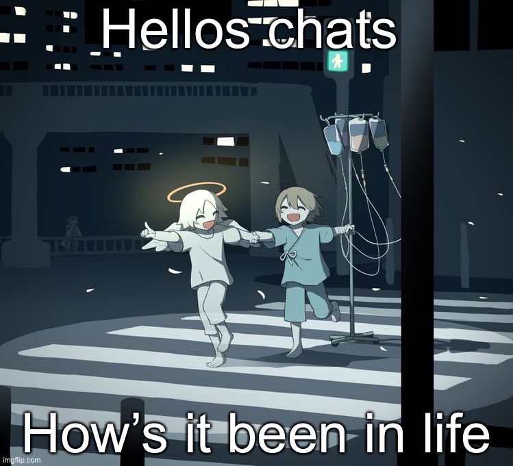 Avogado6 | Hellos chats; How’s it been in life | image tagged in avogado6 | made w/ Imgflip meme maker