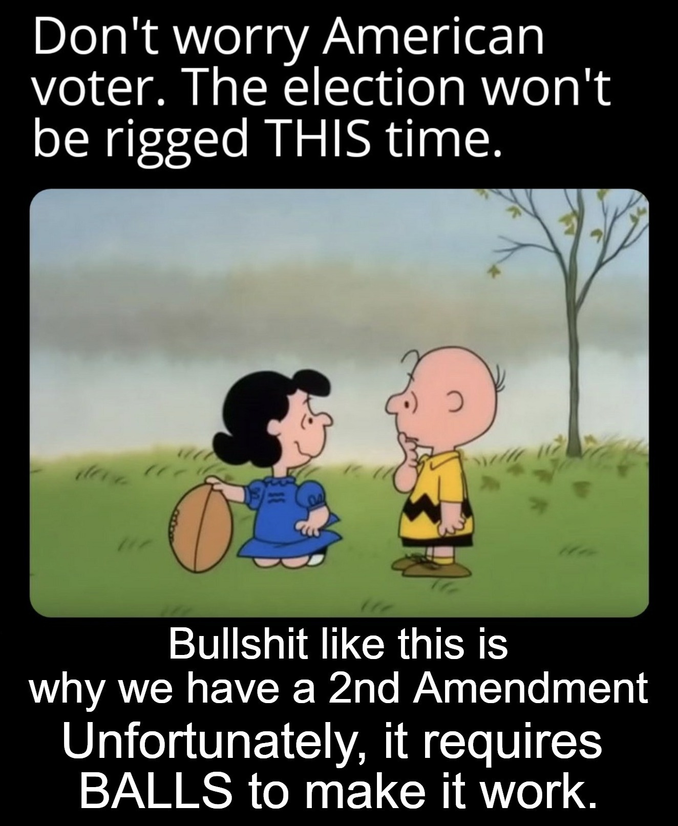 Bullshit like this is why we have a 2nd Amendment | image tagged in bullshit,election fraud,voter fraud,government corruption,the battle of athens | made w/ Imgflip meme maker