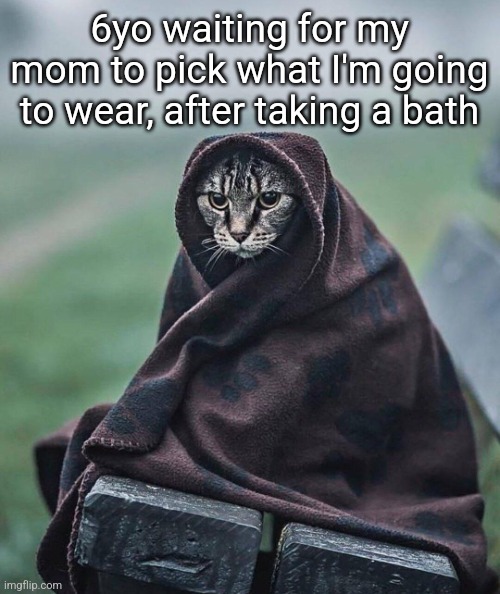 Cat in towl | 6yo waiting for my mom to pick what I'm going to wear, after taking a bath | image tagged in cat in towl | made w/ Imgflip meme maker