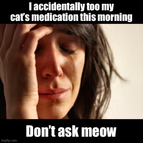 Meds | I accidentally too my cat’s medication this morning; Don’t ask meow | image tagged in memes,first world problems | made w/ Imgflip meme maker