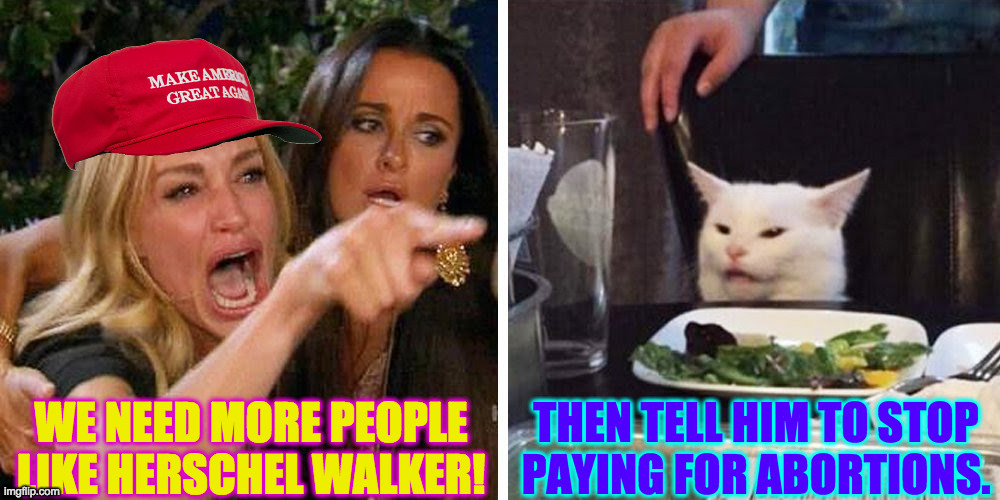 Smudge the cat | WE NEED MORE PEOPLE
LIKE HERSCHEL WALKER! THEN TELL HIM TO STOP
PAYING FOR ABORTIONS. | image tagged in smudge the cat | made w/ Imgflip meme maker