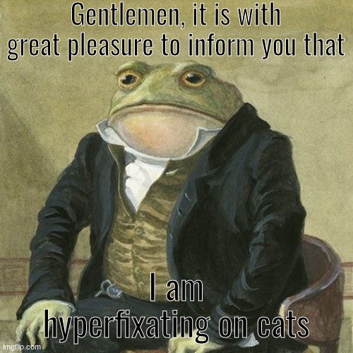 Gentlemen, it is with great pleasure to inform you that | Gentlemen, it is with great pleasure to inform you that; I am hyperfixating on cats | image tagged in gentlemen it is with great pleasure to inform you that | made w/ Imgflip meme maker