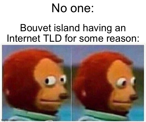 Probably the penguins are using internet idk | No one:; Bouvet island having an Internet TLD for some reason: | image tagged in memes,monkey puppet,island,internet | made w/ Imgflip meme maker