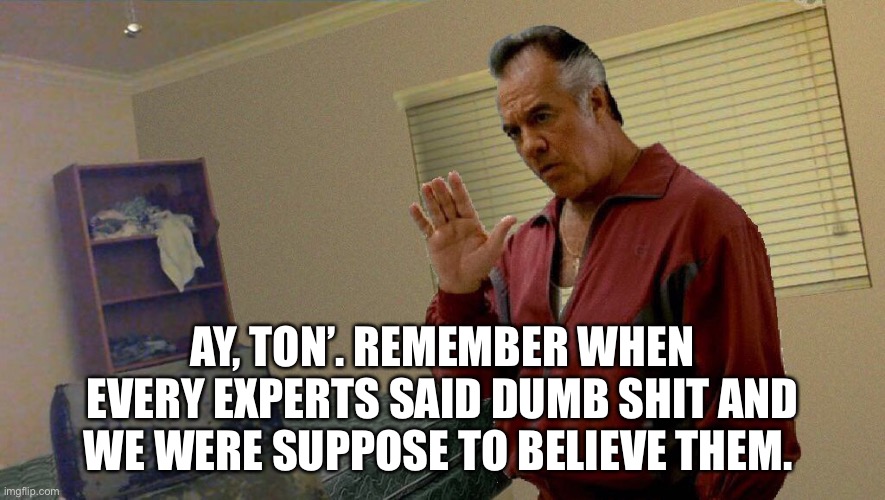 Expertz | AY, TON’. REMEMBER WHEN EVERY EXPERTS SAID DUMB SHIT AND WE WERE SUPPOSE TO BELIEVE THEM. | image tagged in ay ton | made w/ Imgflip meme maker