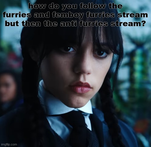 wednesday. | how do you follow the furries and femboy furries stream
but then the anti furries stream? | image tagged in wednesday | made w/ Imgflip meme maker