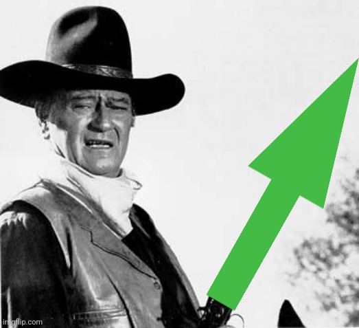 John Wayne Comeback | image tagged in john wayne comeback | made w/ Imgflip meme maker