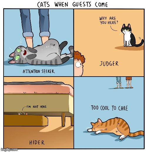 A Cat's Way Of Thinking | image tagged in memes,comics,cats,attitude,attention,too cool | made w/ Imgflip meme maker
