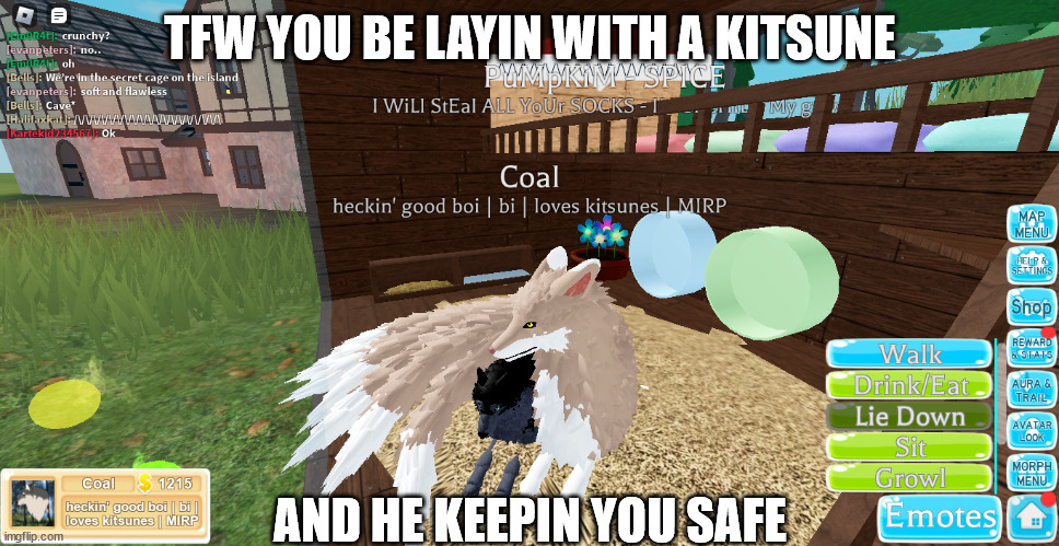 TFW YOU BE LAYIN WITH A KITSUNE; AND HE KEEPIN YOU SAFE | made w/ Imgflip meme maker