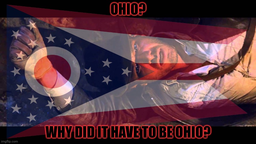 No. This is not ok. | OHIO? WHY DID IT HAVE TO BE OHIO? | image tagged in ohio,indiana jones,why did it have to be snakes | made w/ Imgflip meme maker