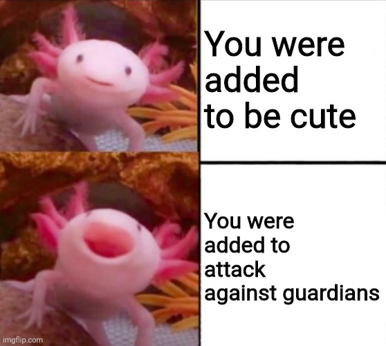 I love axolotls | You were added to be cute; You were added to attack against guardians | image tagged in axolotl drake,axolotl,memes,funny,minecraft,minecraft steve | made w/ Imgflip meme maker