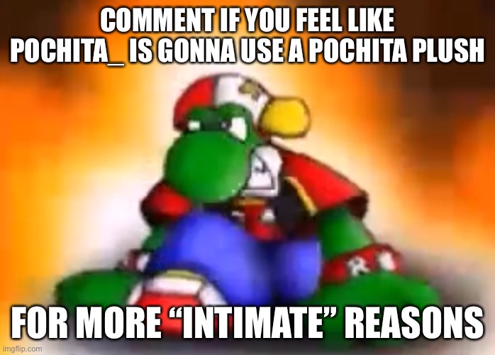 Gangster yoshi | COMMENT IF YOU FEEL LIKE POCHITA_ IS GONNA USE A POCHITA PLUSH; FOR MORE “INTIMATE” REASONS | image tagged in gangster yoshi | made w/ Imgflip meme maker