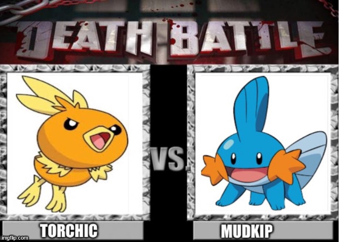 Torchic vs Mudkip  | image tagged in torchic vs mudkip | made w/ Imgflip meme maker