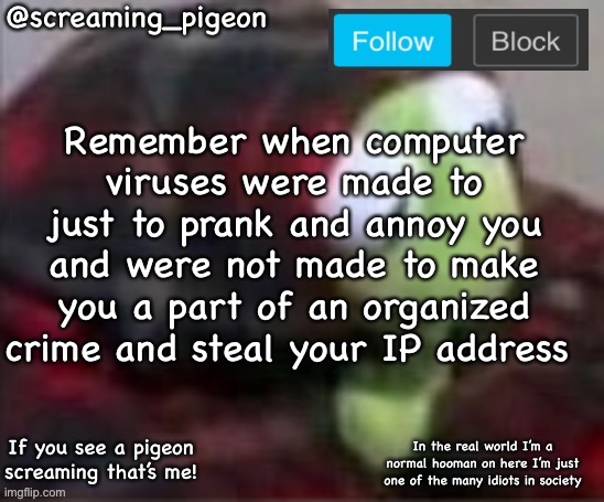something idk | Remember when computer viruses were made to just to prank and annoy you and were not made to make you a part of an organized crime and steal your IP address | image tagged in something idk | made w/ Imgflip meme maker
