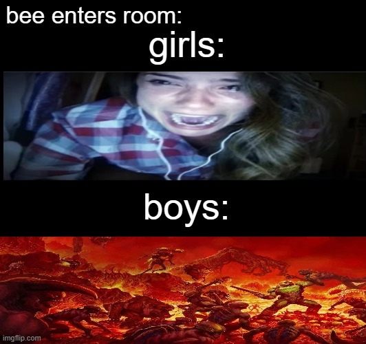 girls:; bee enters room:; boys: | made w/ Imgflip meme maker