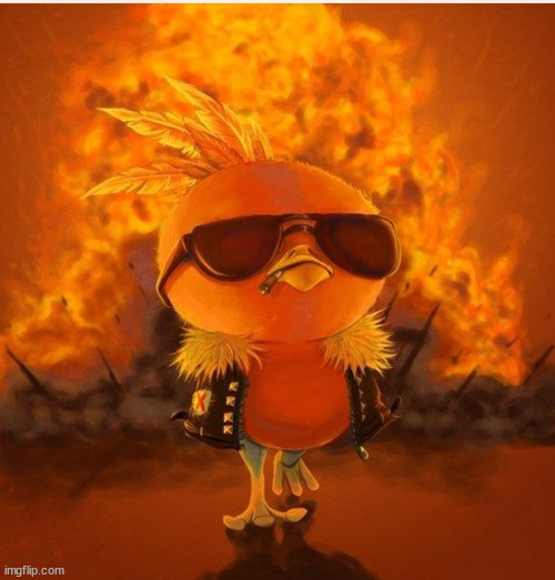 Torchic | image tagged in torchic | made w/ Imgflip meme maker