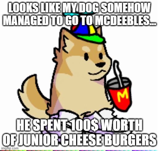My dog went to mcdeebles | LOOKS LIKE MY DOG SOMEHOW MANAGED TO GO TO MCDEEBLES... HE SPENT 100$ WORTH OF JUNIOR CHEESE BURGERS | image tagged in doge,mcdonalds,mcdeebles | made w/ Imgflip meme maker