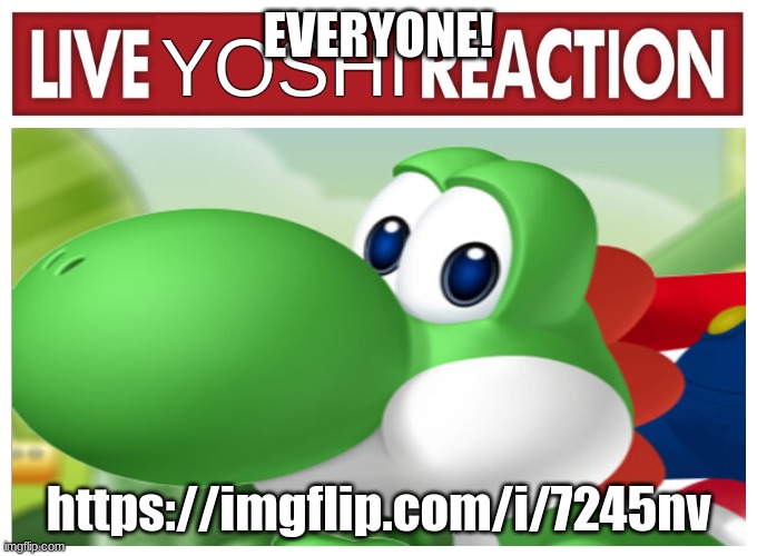 Again, that is https://imgflip.com/i/7245nv | EVERYONE! https://imgflip.com/i/7245nv | image tagged in live yoshi reaction | made w/ Imgflip meme maker