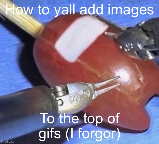 amogus on a stick | How to yall add images; To the top of gifs (I forgor) | image tagged in amogus on a stick | made w/ Imgflip meme maker