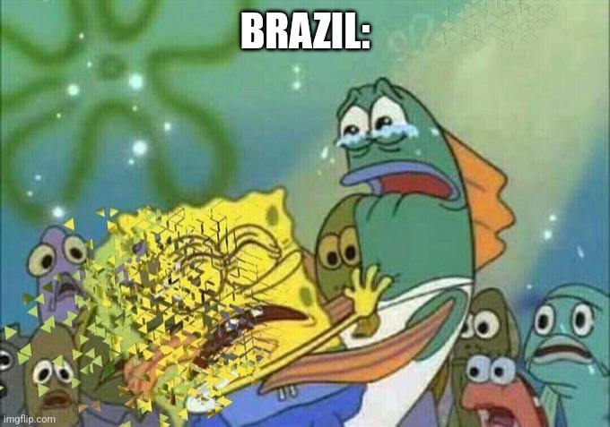 Disintegration Effect | BRAZIL: | image tagged in disintegration effect | made w/ Imgflip meme maker